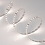 Arlight Microled 024429(2) Лента светодиодная 500x0,8 см, Россия - фото 1