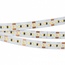 Arlight Microled 023173(2) Лента светодиодная 500x0,8 см, Россия - фото 3