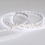 Arlight Microled 024507(2) Лента светодиодная 500x0,8 см, Россия - фото 3