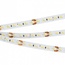 Arlight Microled 024507(2) Лента светодиодная 500x0,8 см, Россия - фото 2