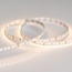 Arlight Microled 024507(2) Лента светодиодная 500x0,8 см, Россия - фото 1