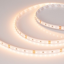 Arlight Microled 024432(2) Лента светодиодная 500x0,8 см, Россия - фото 1 - фото 1
