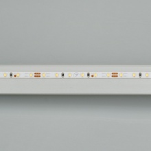 Arlight Microled 024410(2) Лента светодиодная 500x0,4 см, Россия - фото 1 - фото 2