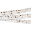 Arlight Rs 2-5000 24V Warm2700 2X2 15Mm (3014, 240 Led/M, Lux) 24472 Лента светодиодная 500x1,5x0,2 см, Россия - фото 1