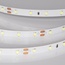 Arlight Rt-A60-8Mm 55376 Лента светодиодная 500x0,8 см, Россия - фото 1