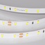 Arlight Rt-A60-8Mm 55382 Лента светодиодная 500x0,8 см, Россия - фото 3
