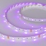 Arlight Rt Открытая 010596(2) Лента светодиодная 500x1 см, Россия - фото 1