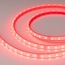 Arlight Rt Открытая 34182 Лента светодиодная 500x1,1x0,5 см, Россия - фото 1