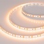 Arlight Rt Открытая 012335(2) Лента светодиодная 500x0,8 см, Россия - фото 1