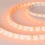 Arlight Rt Открытая 013568(2) Лента светодиодная 500x0,8 см, Россия - фото 1