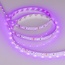 Arlight Rt Открытая 013571(2) Лента светодиодная 500x0,8 см, Россия - фото 1
