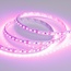 Arlight Rt Открытая 015897(2) Лента светодиодная 500x0,8 см, Россия - фото 1