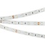 Arlight Rt Открытая 015974(2) Лента светодиодная 500x1 см, Россия - фото 1