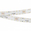 Arlight Rt 028005(2) Лента светодиодная 470x2 см, Россия - фото 1 Arlight Rt 028005(2) Лента светодиодная 470x2 см, Россия - фото 1