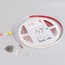 Arlight Rtw-Sew-A308-10Mm 53508 Лента светодиодная 500x1 см, Россия - фото 2