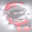 Arlight Spi Открытая 026368(2) Лента светодиодная 500x1 см, Россия - фото 3