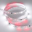 Arlight Spi Открытая 026368(2) Лента светодиодная 500x1 см, Россия - фото 1
