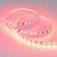 Arlight Spi 030195(2) Лента светодиодная 500x0,7x0,2 см, Россия - фото 1