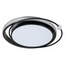 Arte Lamp Alsafi A2657PL-1BK Потолочный светильник 59x50x8 см, Италия - фото 1