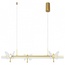 Arte Lamp Darcy A2187SP-1GO Потолочный светильник 100x5x120 см, Италия - фото 2