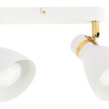 Arte Lamp Fafnir A5047PL-2WH Спот 36x11 см, Италия - фото 1 - фото 3