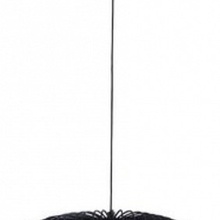 Arte Lamp Flare A3529SP-12BK Потолочный светильник Италия - фото 1 - фото 2