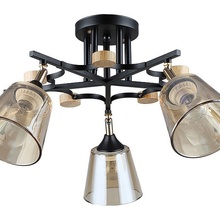 Arte Lamp Glassy A5078PL-5BK Люстра Италия - фото 1 - фото 3