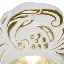 Arte Lamp Occhio A5285PL-1SG Точечный светильник 12x12x4,5 см, Италия - фото 1 - фото 2