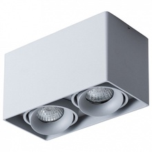 Arte Lamp PICTOR A5654PL-2GY Точечный светильник 18,6x9,5x10,5 см, Италия - фото 1 - фото 1