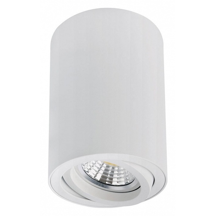 Arte Lamp Sentry A1566PL-1WH Точечный светильник Италия - фото 1 Arte Lamp Sentry A1566PL-1WH Точечный светильник Италия - фото 1