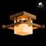 Arte Lamp Woods A8252PL-1BR Потолочный светильник 25x25x20 см, Италия - фото 3