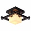 Arte Lamp Woods A8252PL-1CK Потолочный светильник 25x25x20 см, Италия - фото 1