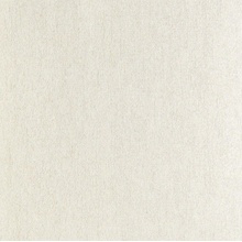 A.S. Creation Fiori 79208-3 Под штукатурку Виниловые обои 1005x106 см, цвет: бежевый, Германия - фото 1 - фото 1