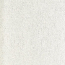 A.S. Creation Fiori 79208-4 Под штукатурку Виниловые обои 1005x106 см, цвет: белый, Германия - фото 1 - фото 1