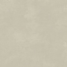 A.S. Creation Natural Motifs 79254-6 Под штукатурку Виниловые обои 1005x106 см, цвет: зеленый, Германия - фото 1 - фото 1