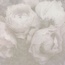 A.S. Creation Natural Motifs 79268-2 Цветы Виниловые обои 1005x106 см, цвет: разноцветный, Германия - фото 1