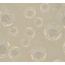 A.S. Creation Versace 5 38461-3 Медальоны Виниловые обои 1005x70 см, цвет: бежевый, Германия - фото 1