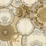 A.S. Creation Versace 6 79136-3 Медальоны Виниловые обои 1005x70 см, цвет: разноцветный, Германия - фото 1