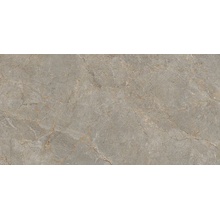 Basconi Home Root BHC-6008 Brown semi-polished Керамогранит 60x120 см, Китай, под камень  - фото 1 - фото 1