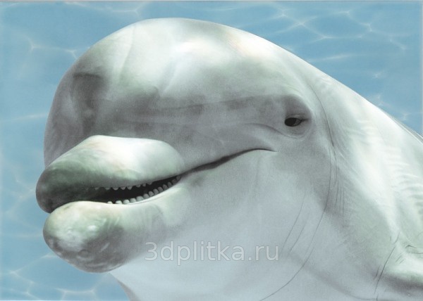 Лазурь 🏆 Дельфины 1 Бирюзовый 35x25 декор от   .