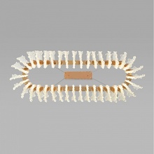 Bogate's Farfalla 90376/1 Потолочный светильник 92x36x55 см, Китай - фото 1 - 3 Bogate's Farfalla 90376/1 Потолочный светильник 92x36x55 см, Китай - фото 1 - фото 3