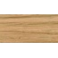 Bonaparte Porcelain Tile Greenwood Great Керамогранит 60x120 см, Китай, под дерево - фото 1