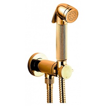 Bossini Nikita E37008B.021 Золото Смеситель с гигиеническим душем 11,35x7x7 см, для биде, Италия - фото 1 - фото 1