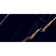 Bris Ceramic Saint Laurent High Gloss Керамогранит 60x120 см, Индия, под мрамор - фото 1 - фото 1