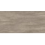 Casalgrande Padana Stonewash 10460135 Brown Керамогранит 60x120 см, Италия - фото 1