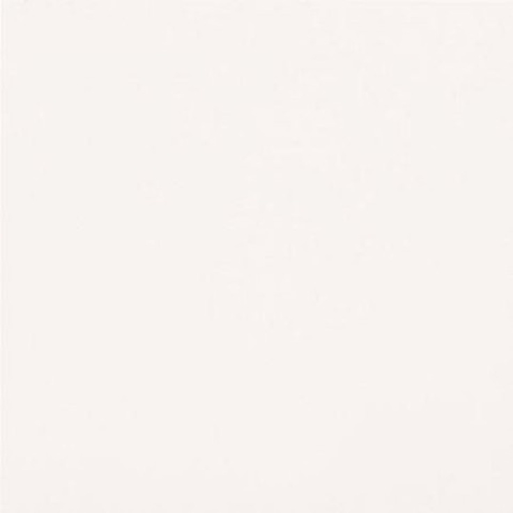 Casalgrande Padana Unicolore Technic 700118 Bianco Assoluto Naturale 8mm Керамогранит 30x30 см, Италия, под камень  - фото 1