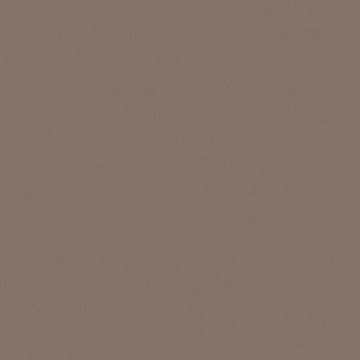 Casalgrande Padana Unicolore Technic 400002 Grigio Cenere Напольная плитка 20x20 см, Италия, под камень  - фото 1