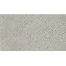 Ceramica Fioranese I Cocci 0IC363R Cenere Naturale Керамогранит 30x60 см, Италия, под бетон  - фото 1 - фото 1