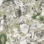 Ceramica Fioranese Sound of Marbles 0M4609R Screziato Vivace Matte Керамогранит 60x60 см, Италия, под мрамор - фото 1