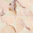 Ceramica Fioranese Unica UI4MS1L Micro Misty Rose Декор 89x89 см, Италия, под мрамор - фото 1 Ceramica Fioranese Unica UI4MS1L Micro Misty Rose Декор 89x89 см, Италия, под мрамор - фото 1